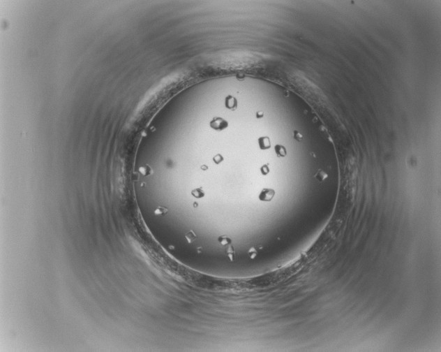 X0000055510400200508262145