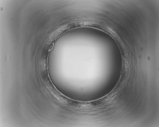 X0000055510401200508262145