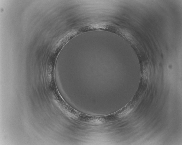 X0000055510402200508262145