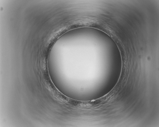 X0000055510403200508262145