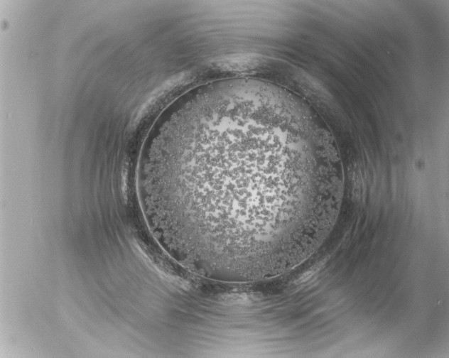 X0000055510404200508262145