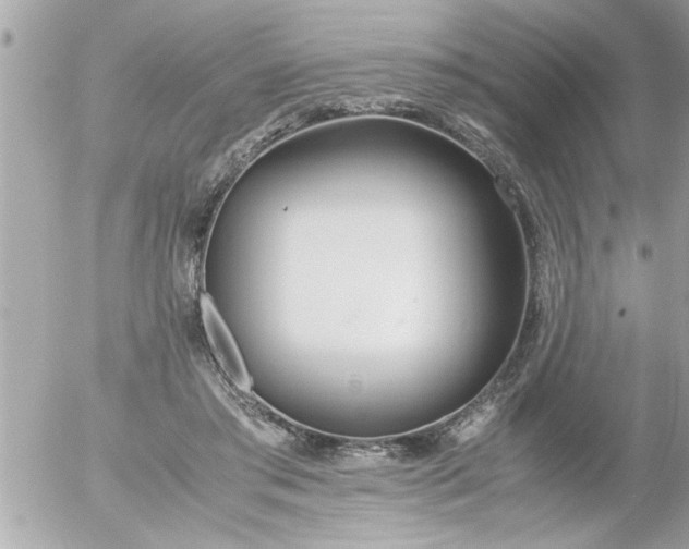 X0000055510405200508262145