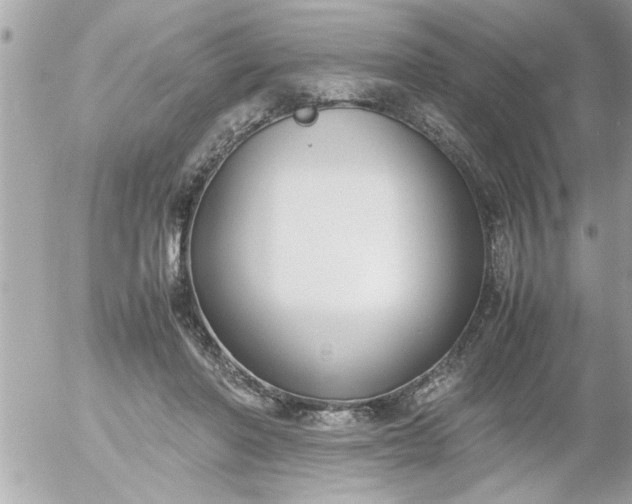 X0000055510406200508262145