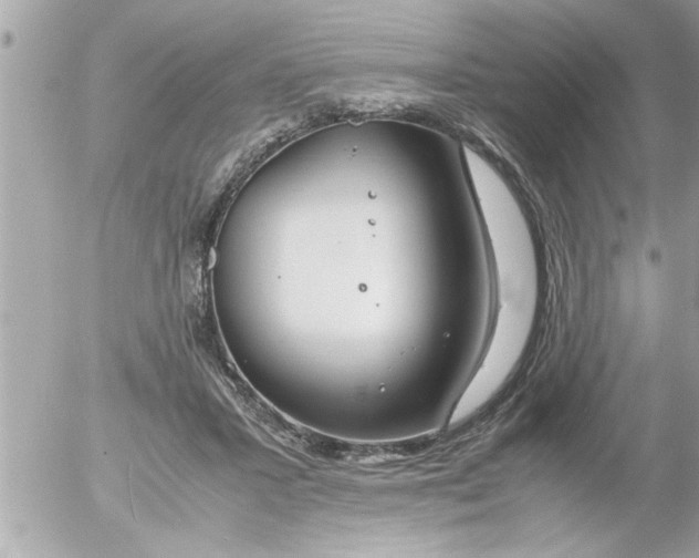 X0000055510407200508262145