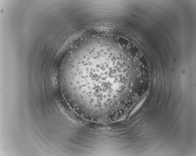 X0000055510408200508262145