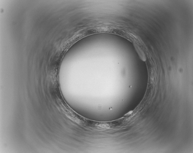 X0000055510409200508262145