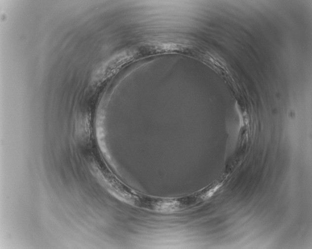 X0000055510410200508262145