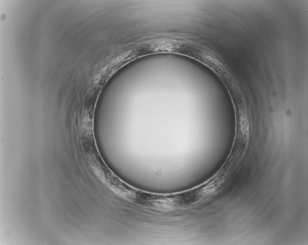 X0000055510411200508262145