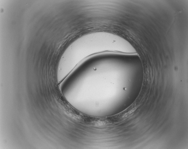 X0000055510412200508262145