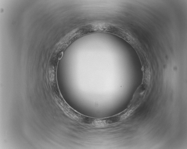 X0000055510413200508262145