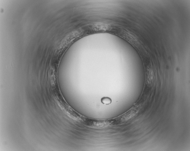 X0000055510414200508262145