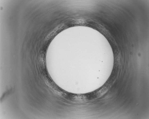 X0000055510415200508262145