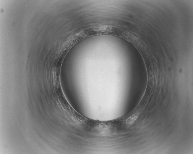 X0000055510416200508262145