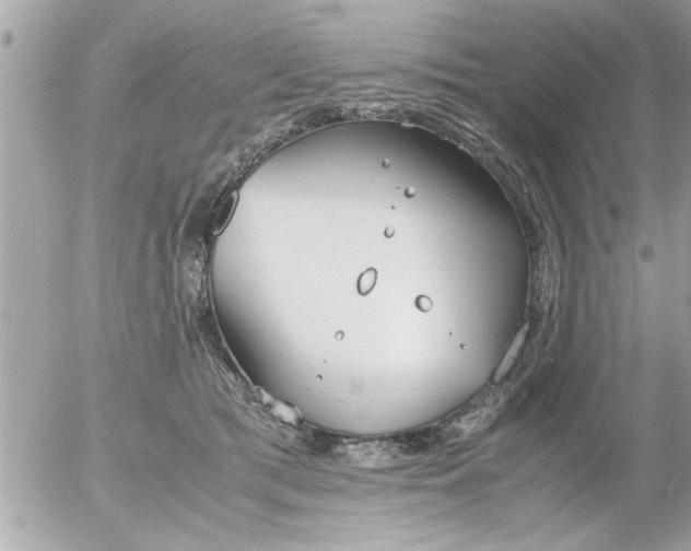 X0000055510417200508262145