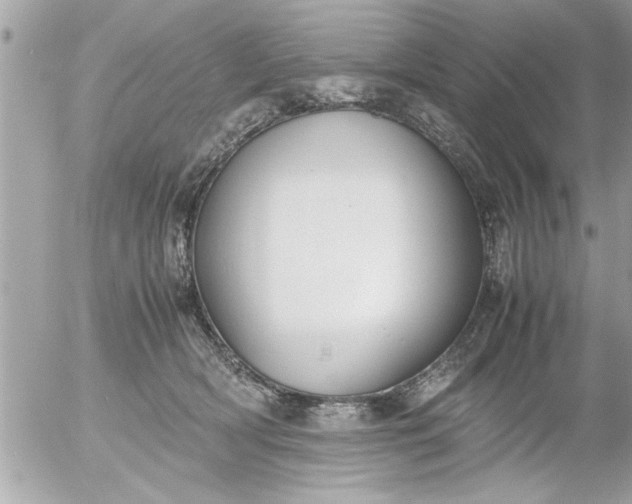 X0000055510418200508262145