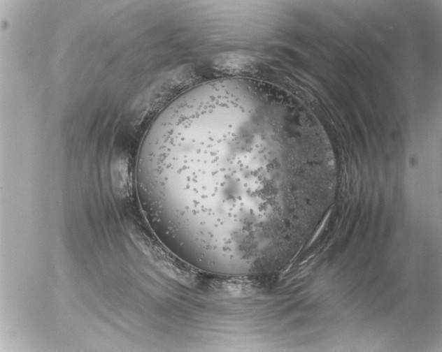 X0000055510420200508262145