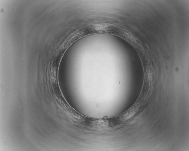 X0000055510421200508262145