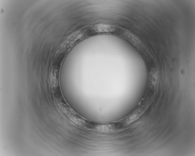 X0000055510422200508262145