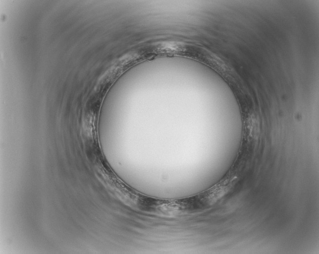 X0000055510423200508262145