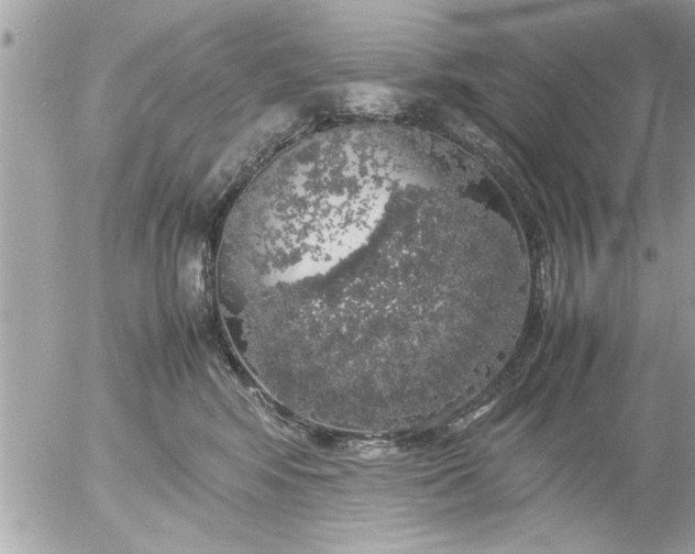 X0000055510424200508262145