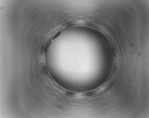 X0000055510425200508262145