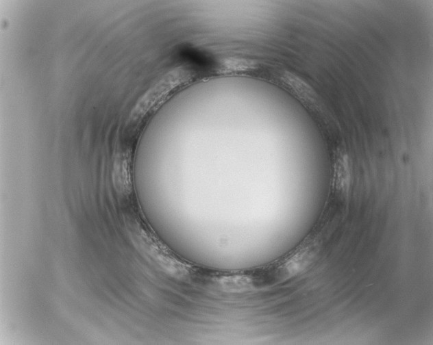 X0000055510426200508262145