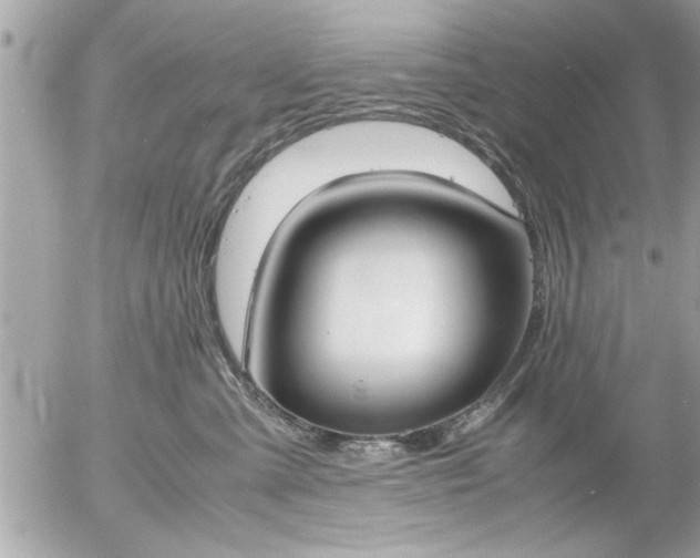 X0000055510427200508262145