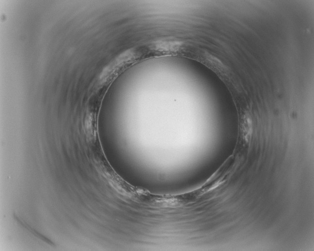 X0000055510428200508262145