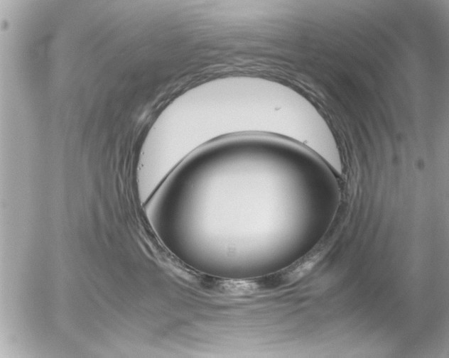 X0000055510429200508262145