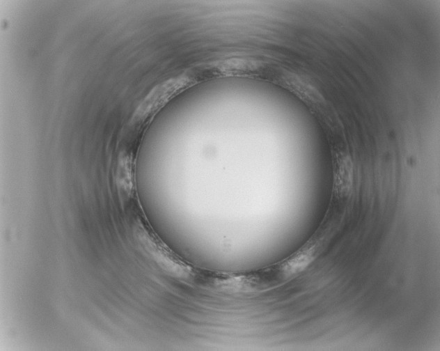 X0000055510430200508262145