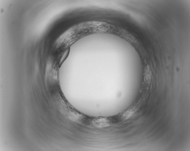 X0000055510431200508262145