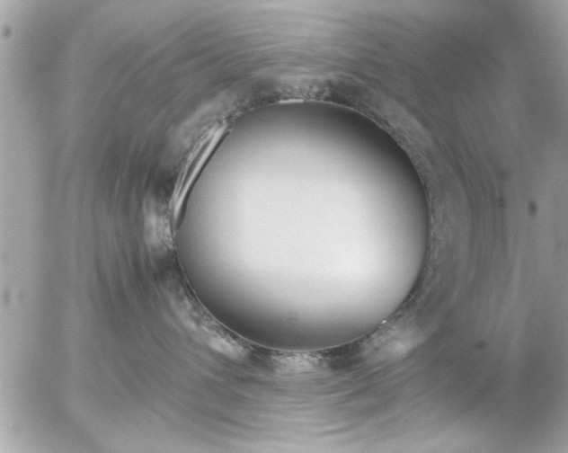 X0000055510432200508262145