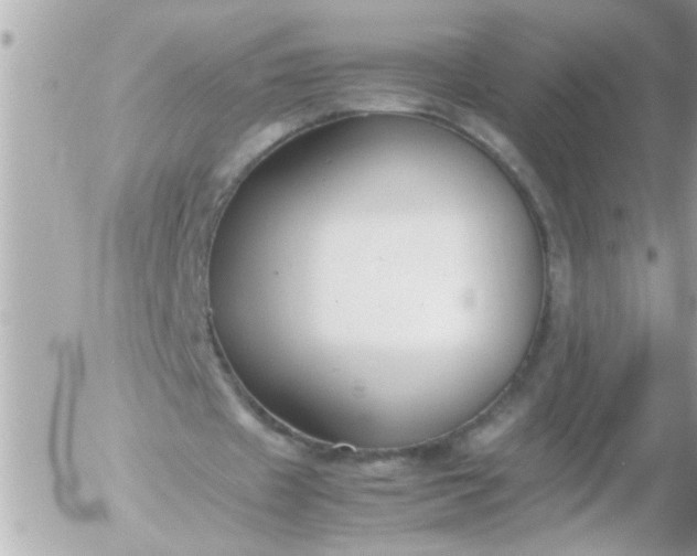 X0000055510433200508262144