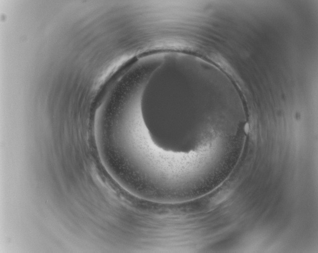 X0000055510434200508262144