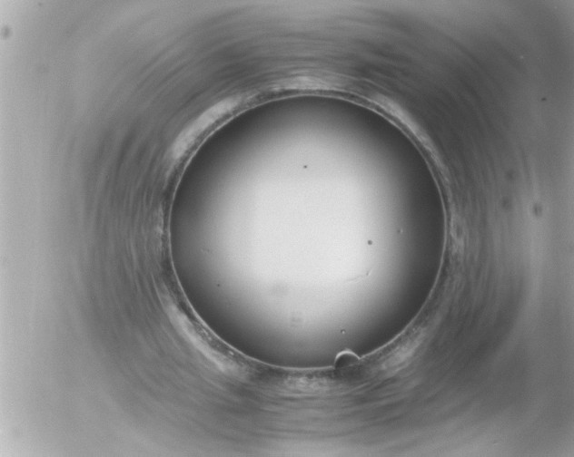 X0000055510437200508262144