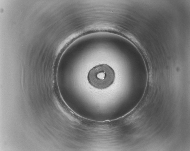 X0000055510438200508262144