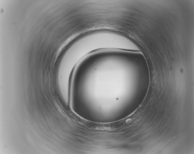 X0000055510440200508262144