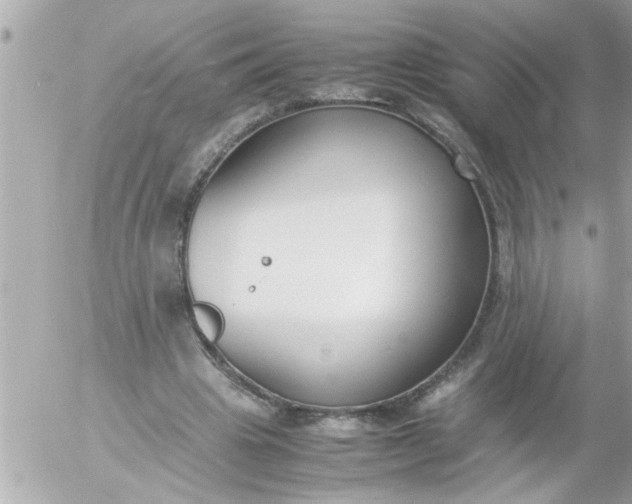 X0000055510441200508262144