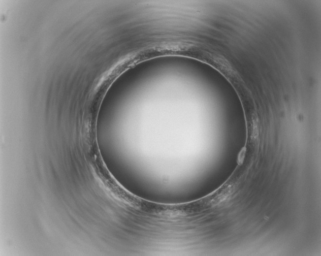 X0000055510444200508262144