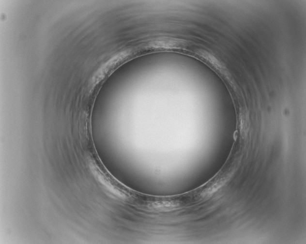 X0000055510445200508262144