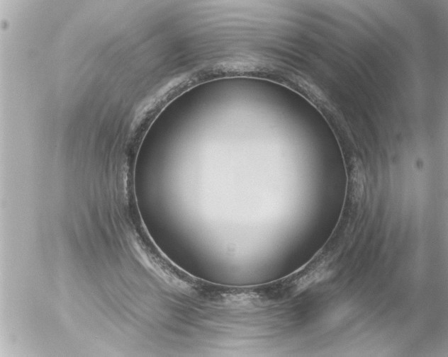 X0000055510446200508262144