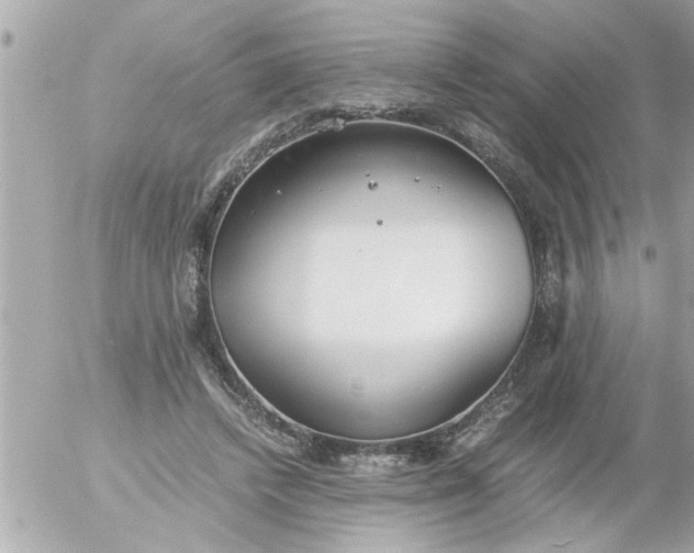 X0000055510448200508262144