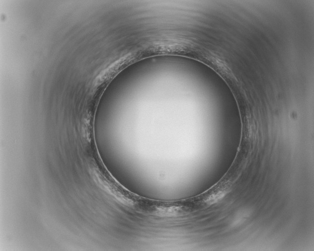 X0000055510450200508262144