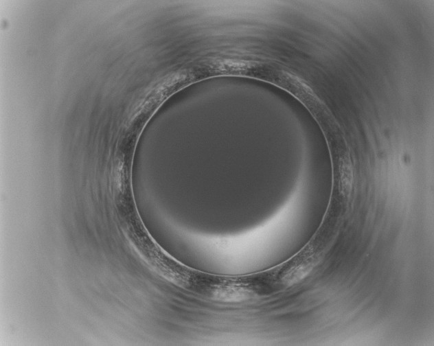 X0000055510451200508262144