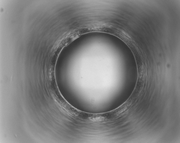 X0000055510452200508262144