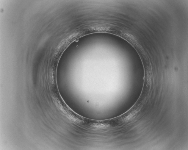 X0000055510453200508262144