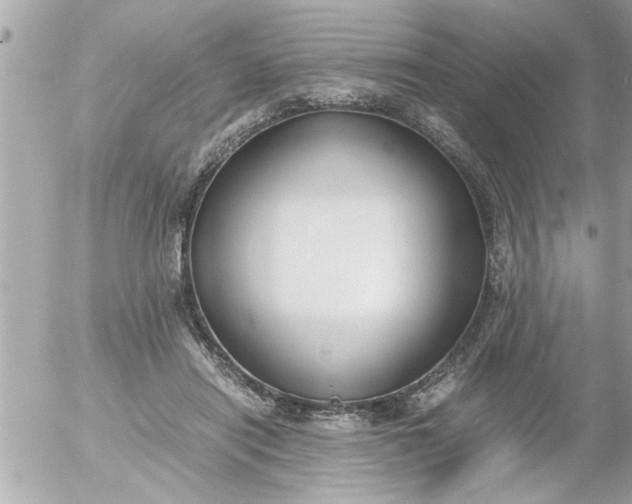 X0000055510454200508262144