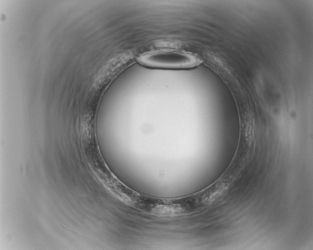 X0000055510455200508262144