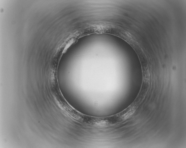 X0000055510456200508262144