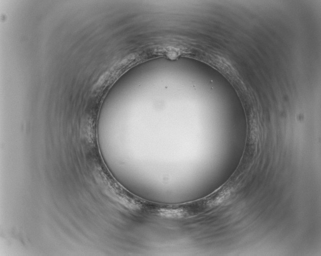 X0000055510457200508262144